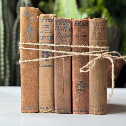Antique Neutral Beige Brown Book Bundle, Westerns - Pretty Old Books