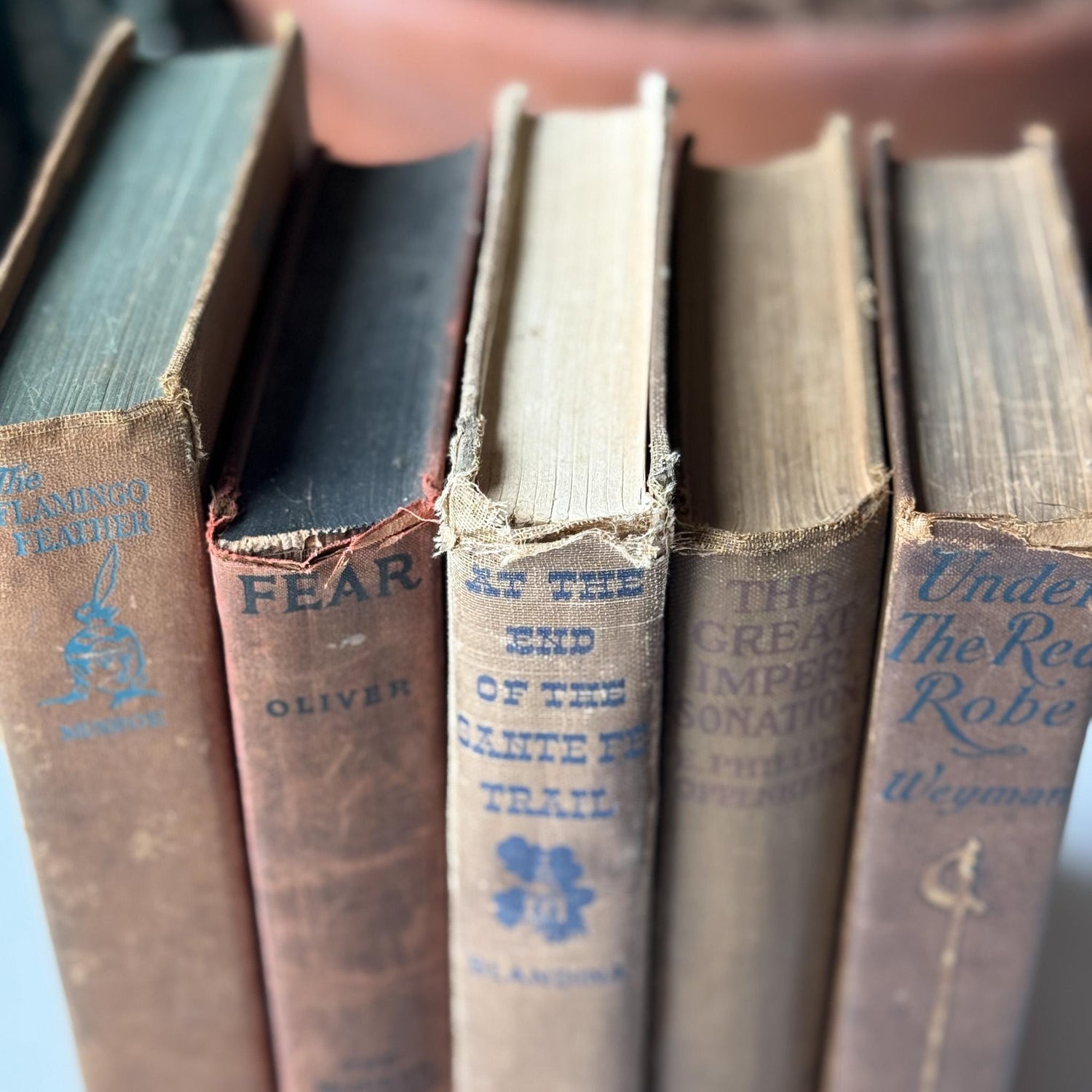 Antique Neutral Beige Brown Book Bundle, Westerns - Pretty Old Books