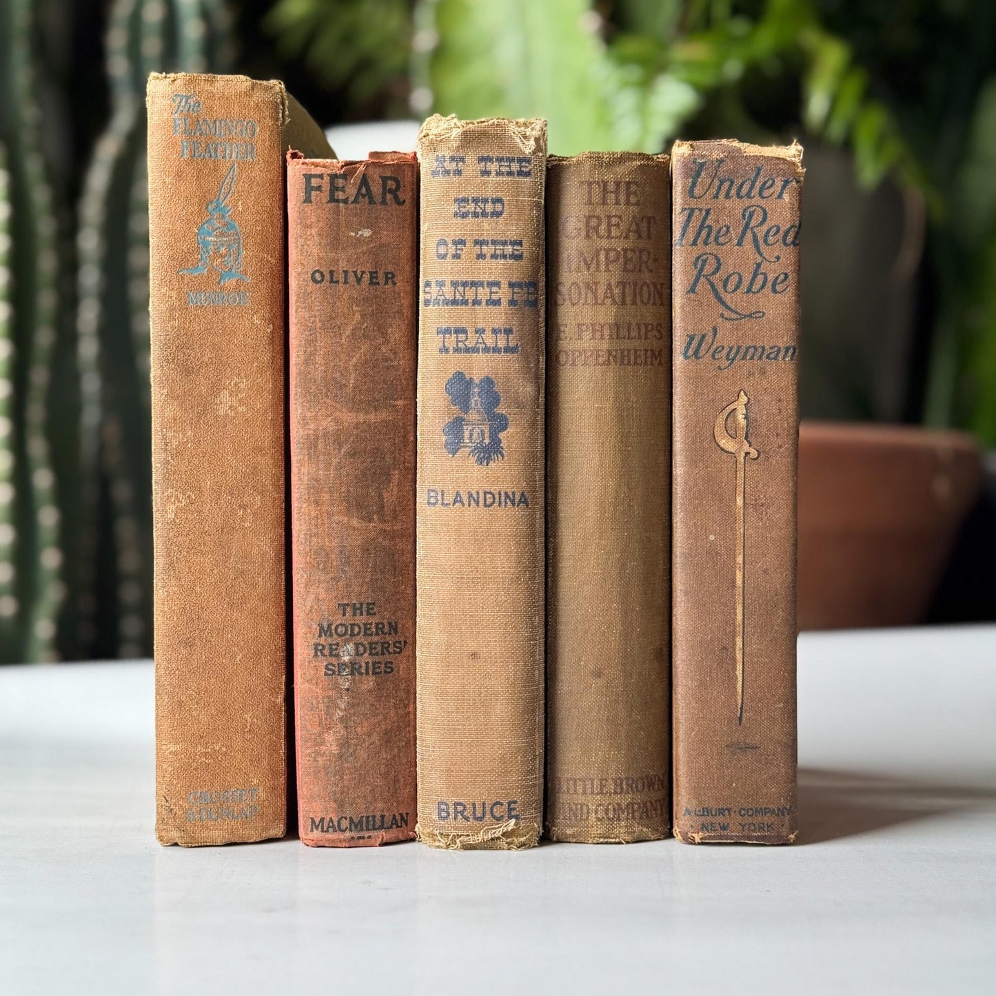 Antique Neutral Beige Brown Book Bundle, Westerns - Pretty Old Books