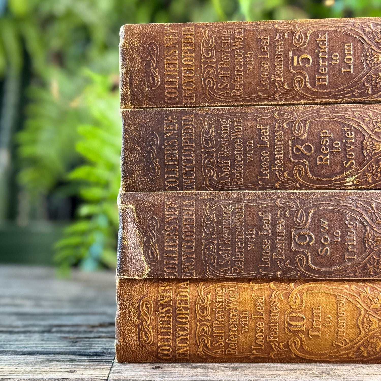 Antique Neutral Embossed Collier's New Encyclopedia Partial Set - Pretty Old Books