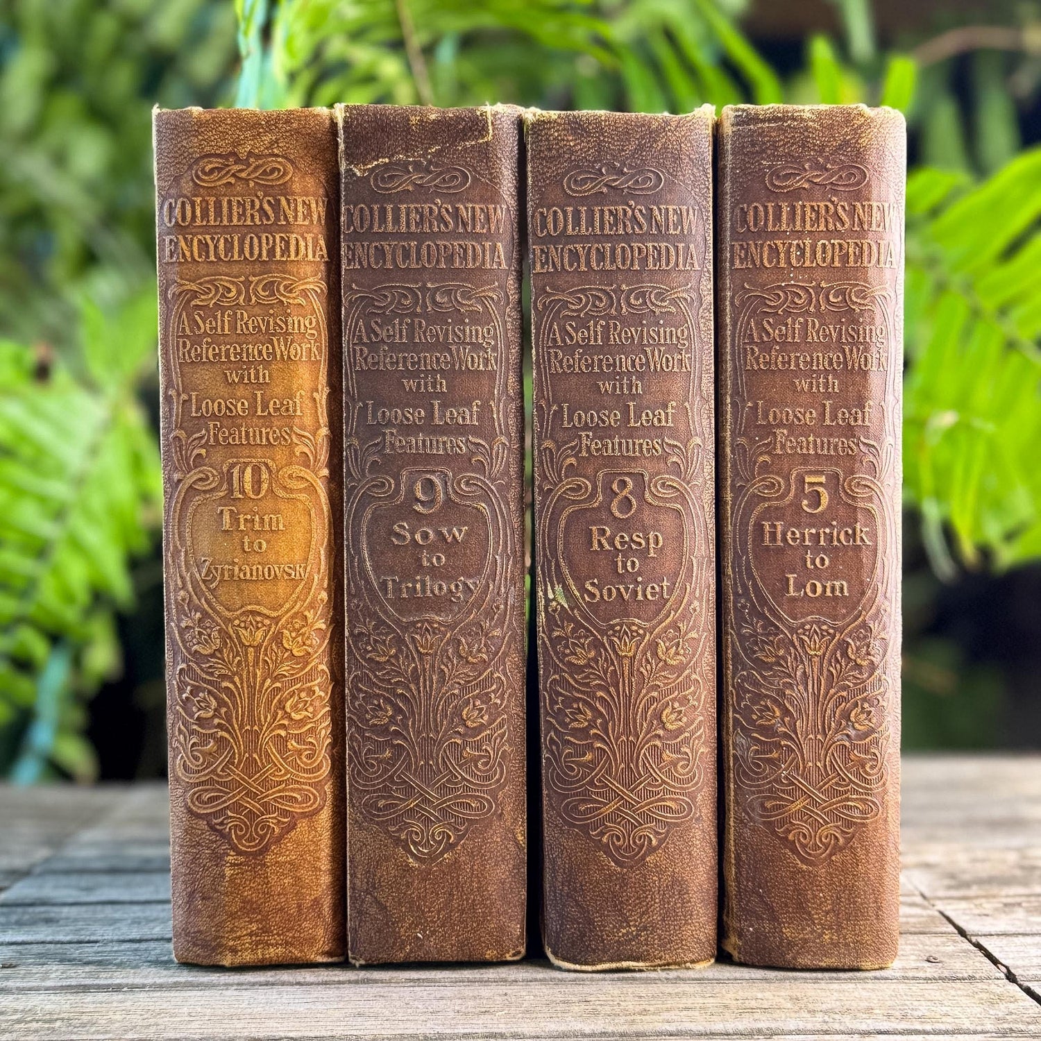 Antique Neutral Embossed Collier's New Encyclopedia Partial Set - Pretty Old Books