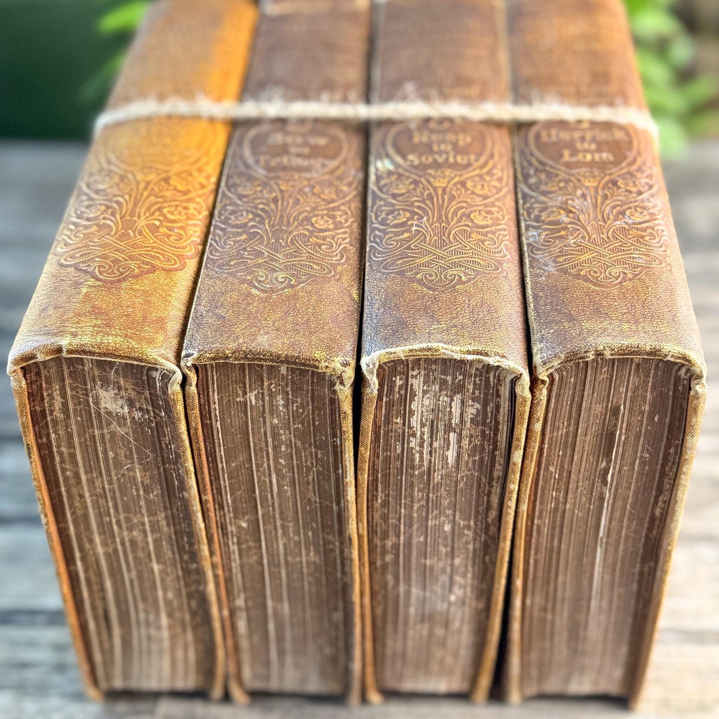 Antique Neutral Embossed Collier's New Encyclopedia Partial Set - Pretty Old Books