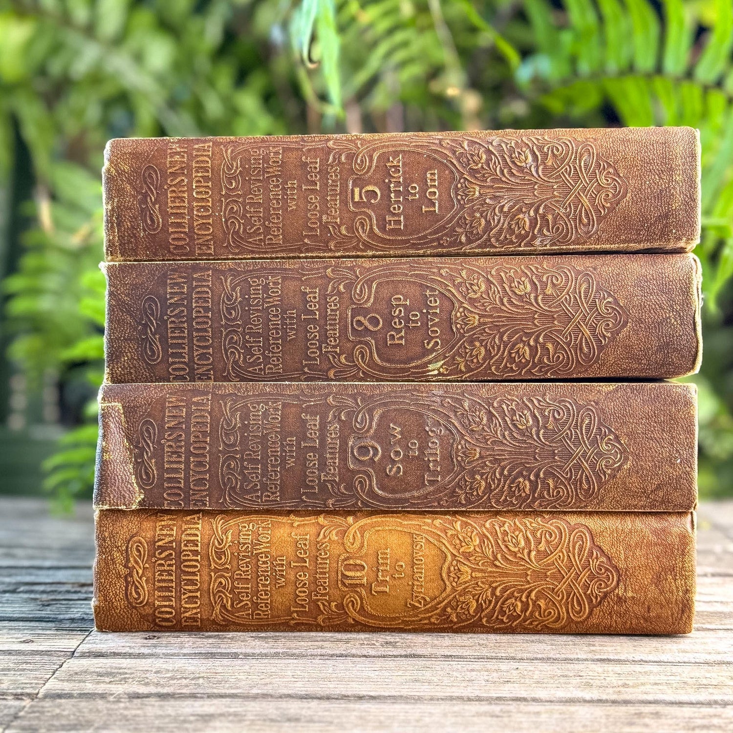 Antique Neutral Embossed Collier's New Encyclopedia Partial Set - Pretty Old Books