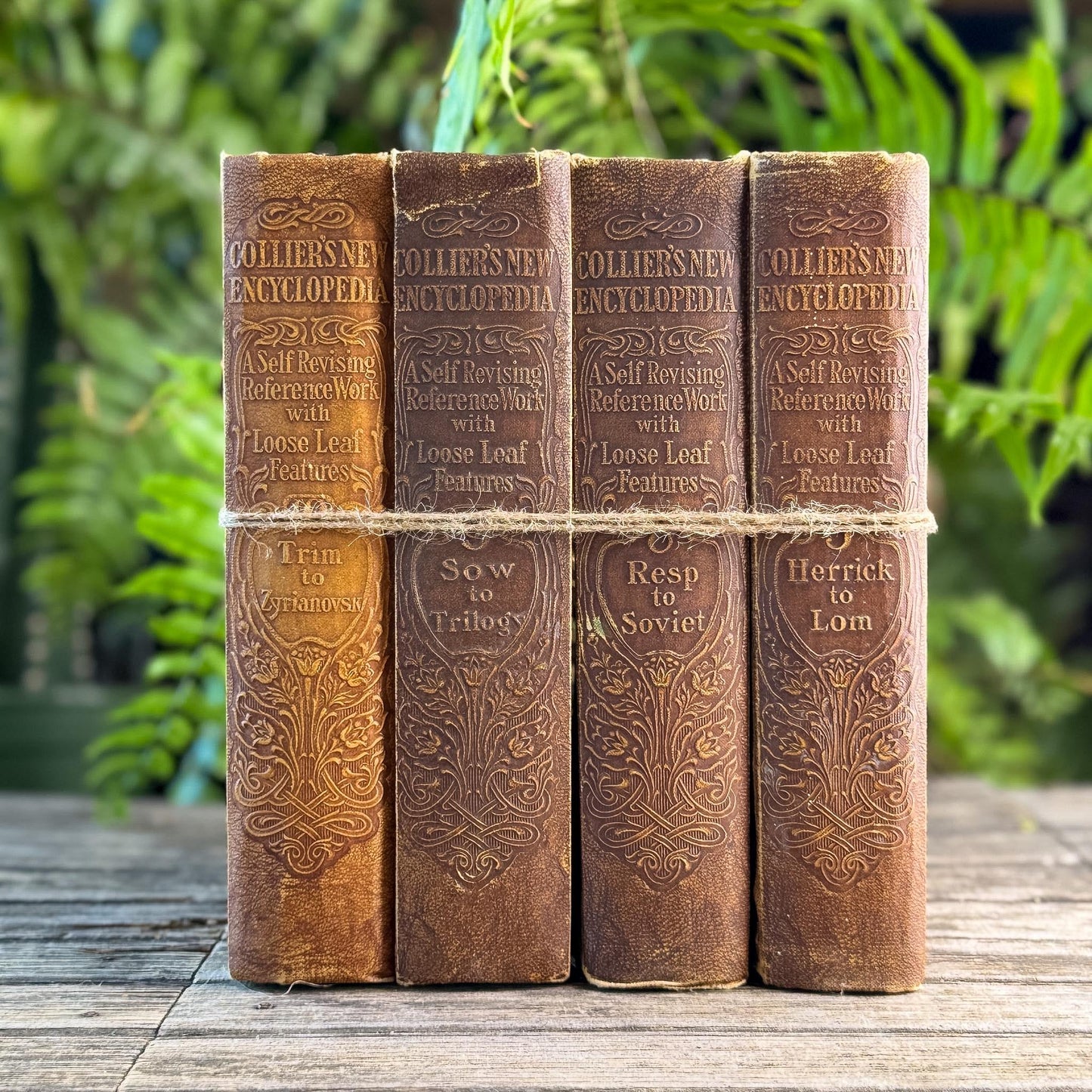 Antique Neutral Embossed Collier's New Encyclopedia Partial Set - Pretty Old Books