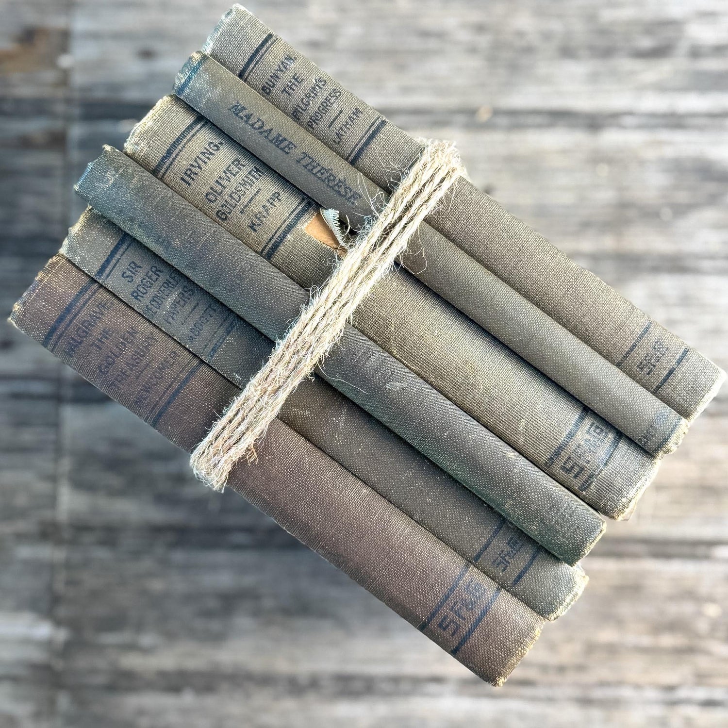 Antique Neutral Shabby School Book Bundle, Classic Literature and Poetry Lake English Classics - Pretty Old Books
