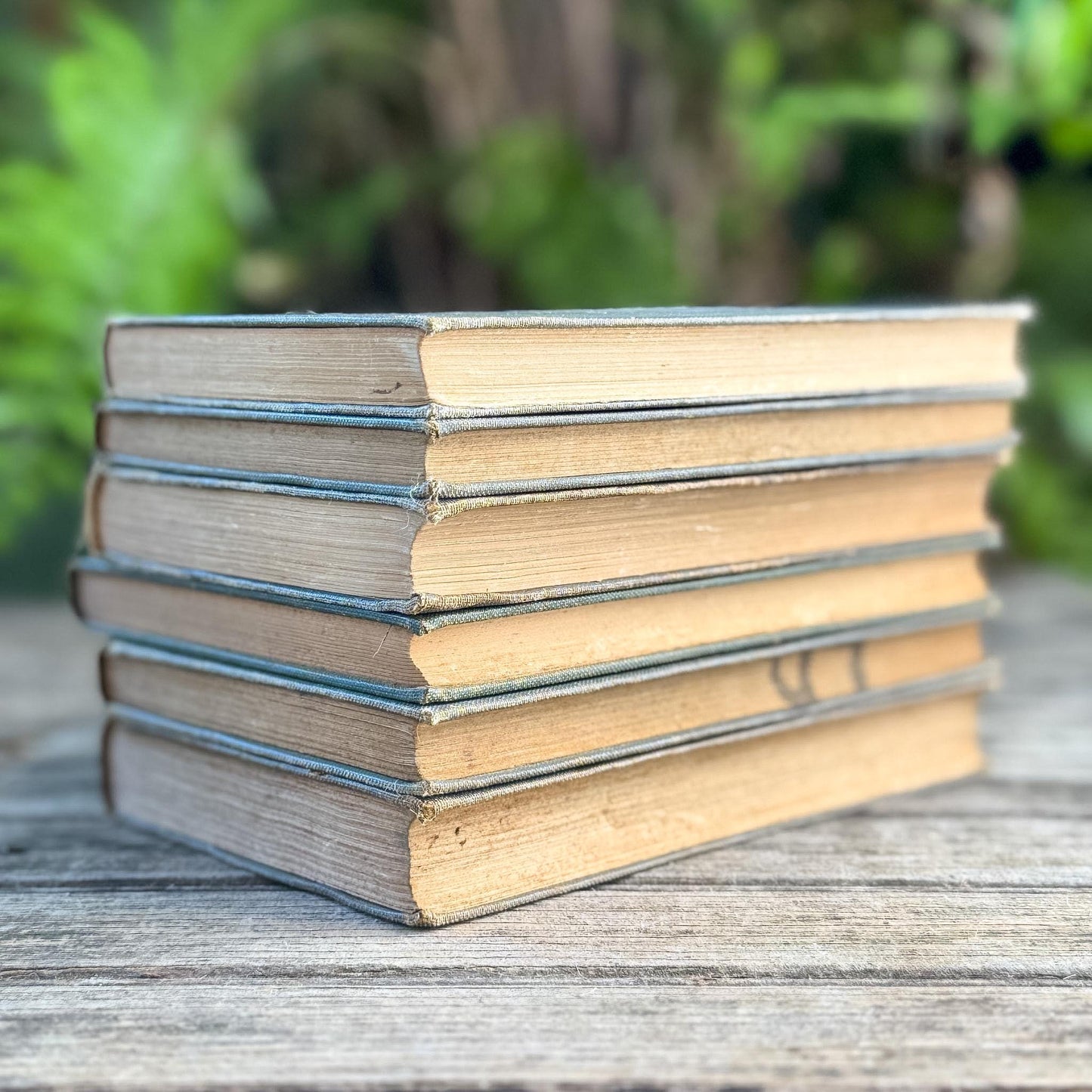 Antique Neutral Shabby School Book Bundle, Classic Literature and Poetry Lake English Classics - Pretty Old Books