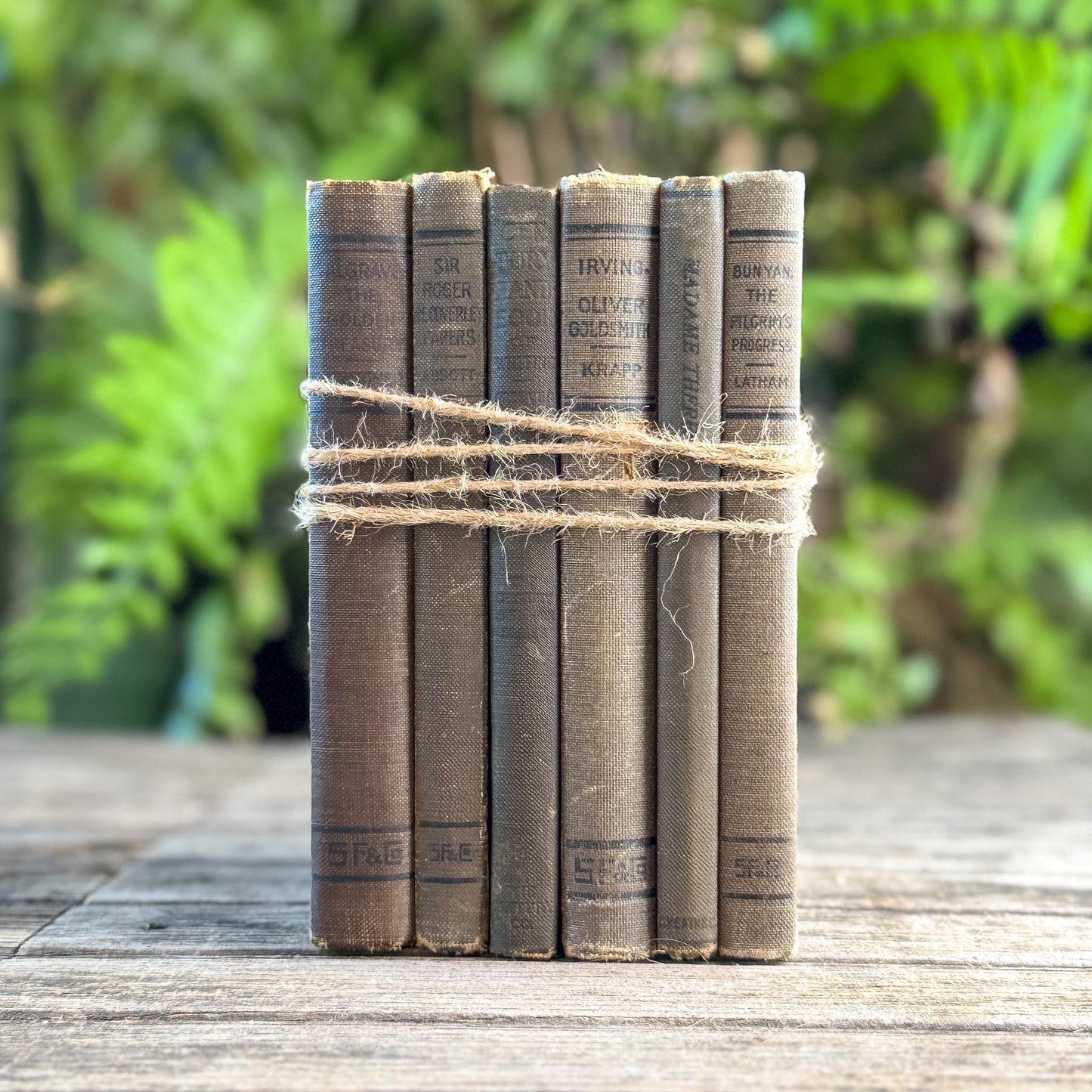 Antique Neutral Shabby School Book Bundle, Classic Literature and Poetry Lake English Classics - Pretty Old Books