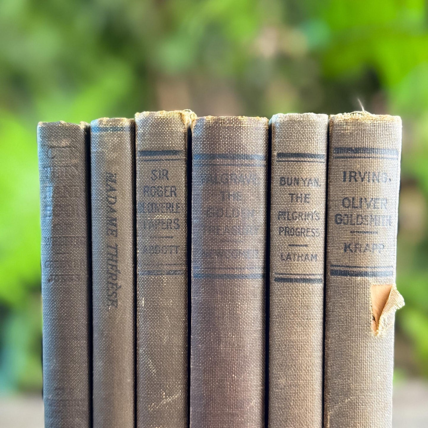 Antique Neutral Shabby School Book Bundle, Classic Literature and Poetry Lake English Classics - Pretty Old Books
