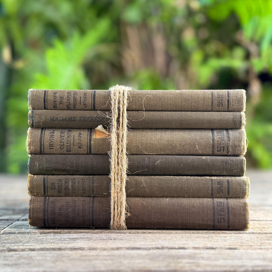 Antique Neutral Shabby School Book Bundle, Classic Literature and Poetry Lake English Classics - Pretty Old Books