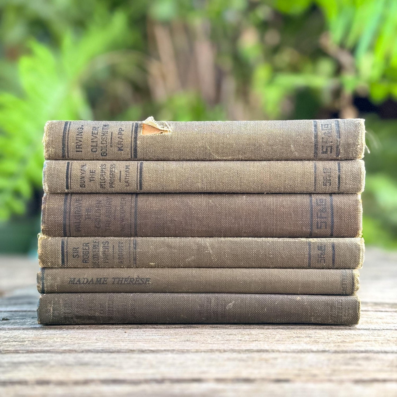 Antique Neutral Shabby School Book Bundle, Classic Literature and Poetry Lake English Classics - Pretty Old Books