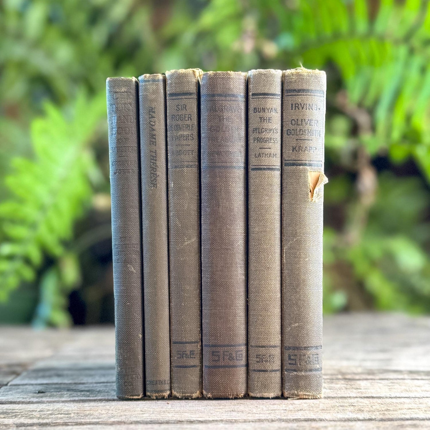 Antique Neutral Shabby School Book Bundle, Classic Literature and Poetry Lake English Classics - Pretty Old Books