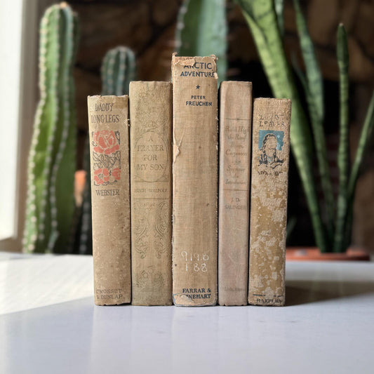 Antique Neutral Tan Book Bundle, Books by Color, Shabby Distressed Book Set - Pretty Old Books