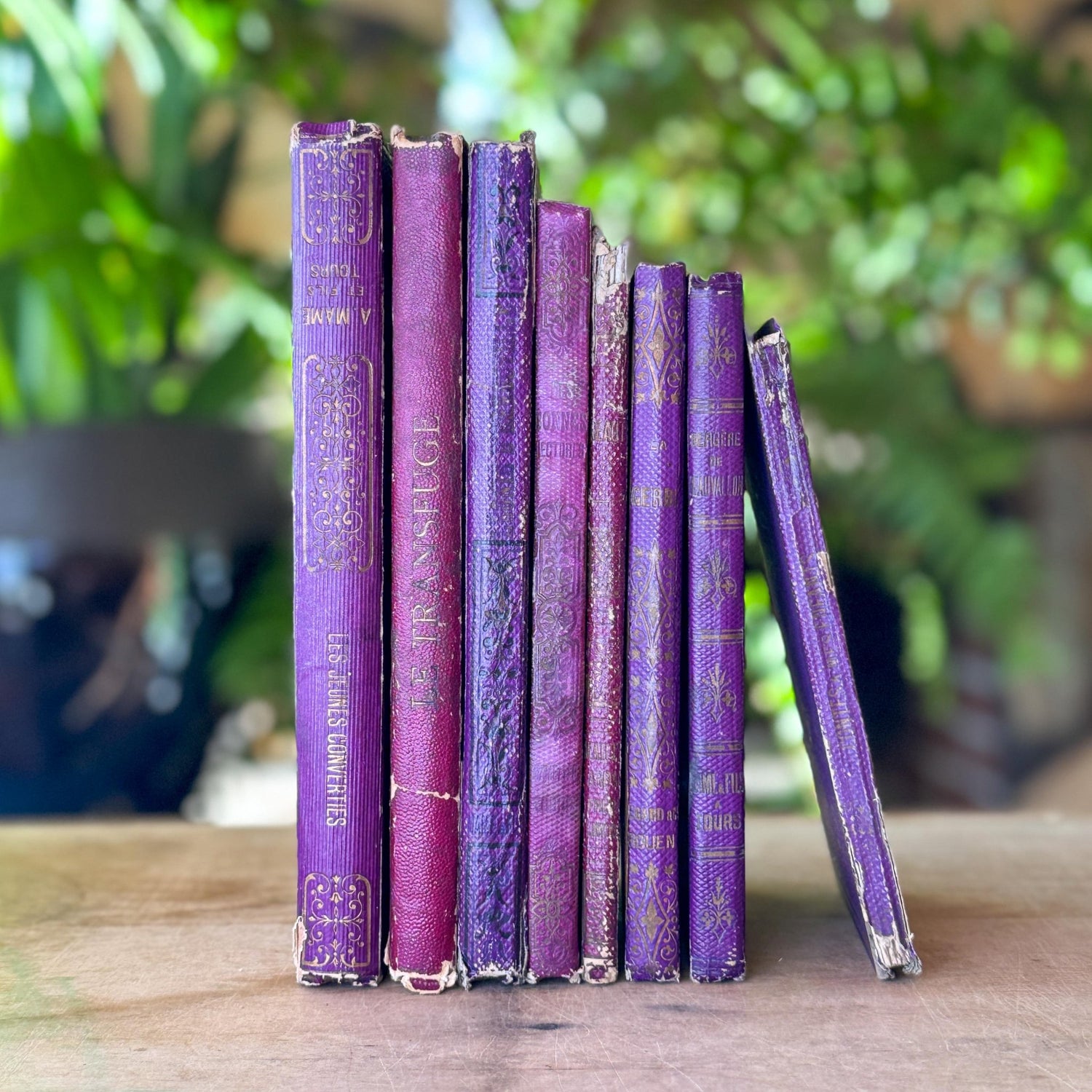 Antique Purple French Book Bundle With Gilt Embossed Covers and School Prize Labels - Pretty Old Books