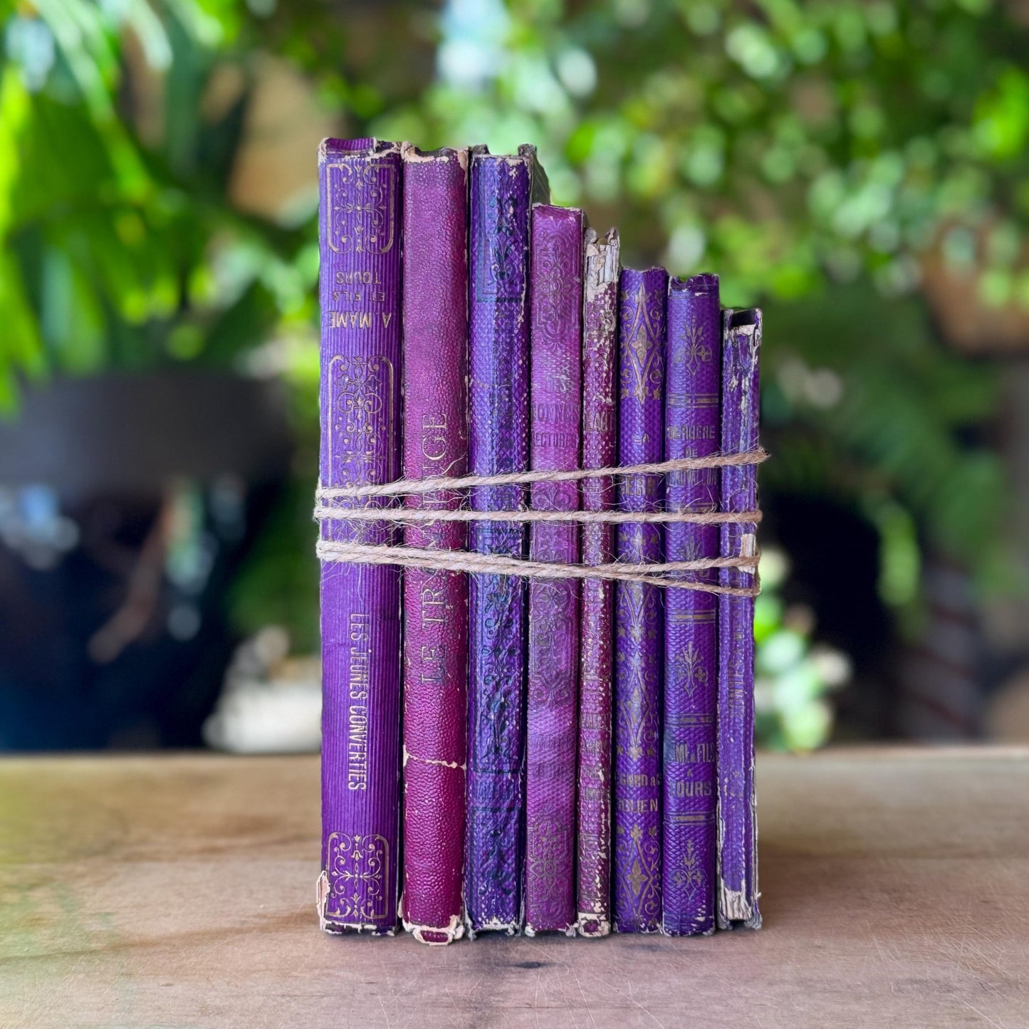 Antique Purple French Book Bundle With Gilt Embossed Covers and School Prize Labels - Pretty Old Books