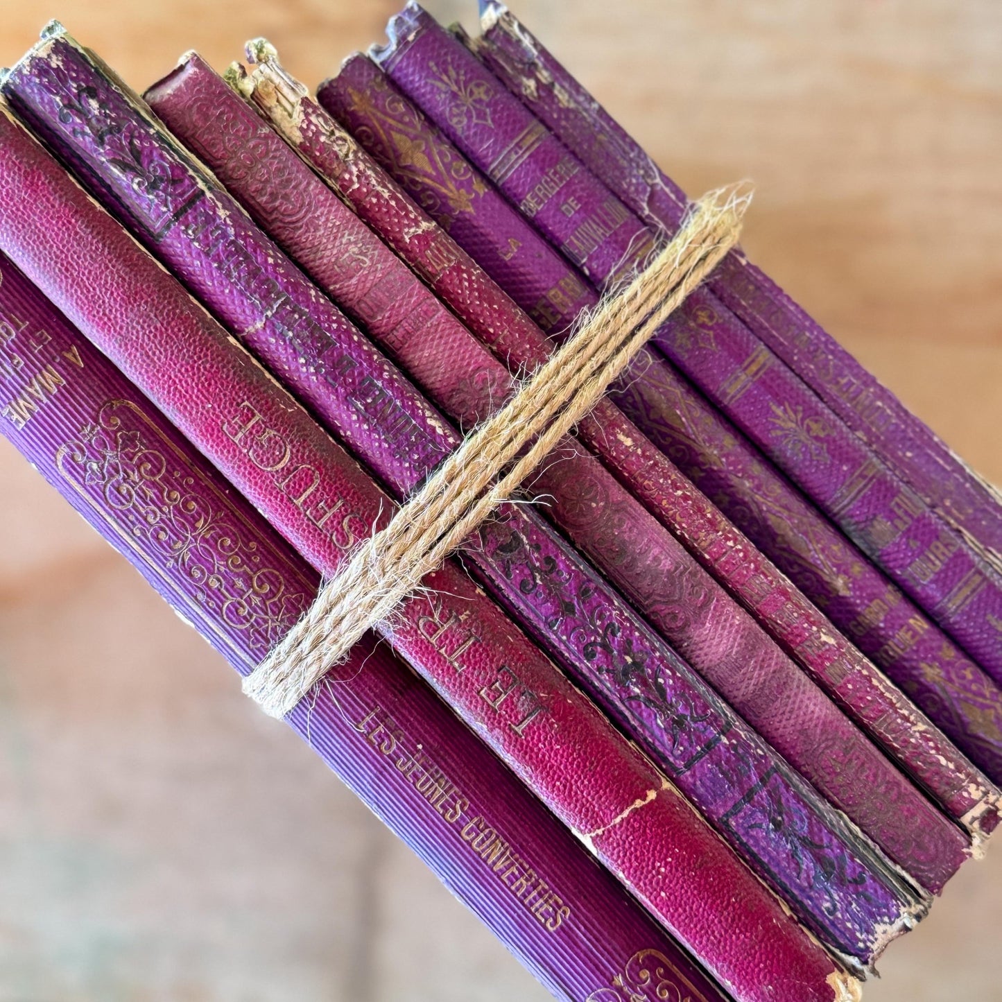 Antique Purple French Book Bundle With Gilt Embossed Covers and School Prize Labels - Pretty Old Books