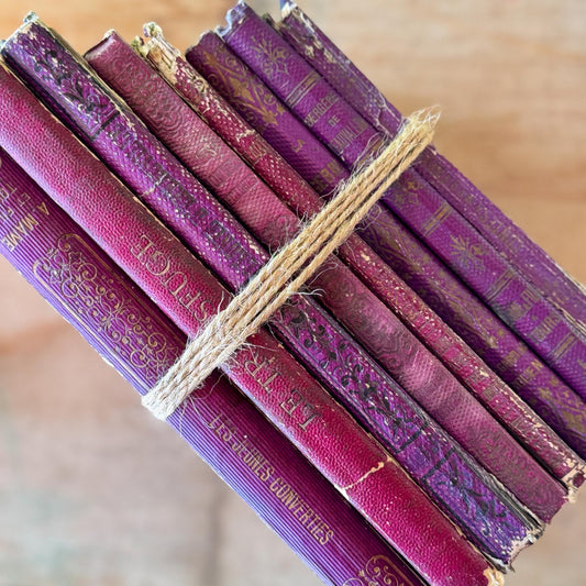 Antique Purple French Book Bundle With Gilt Embossed Covers and School Prize Labels - Pretty Old Books