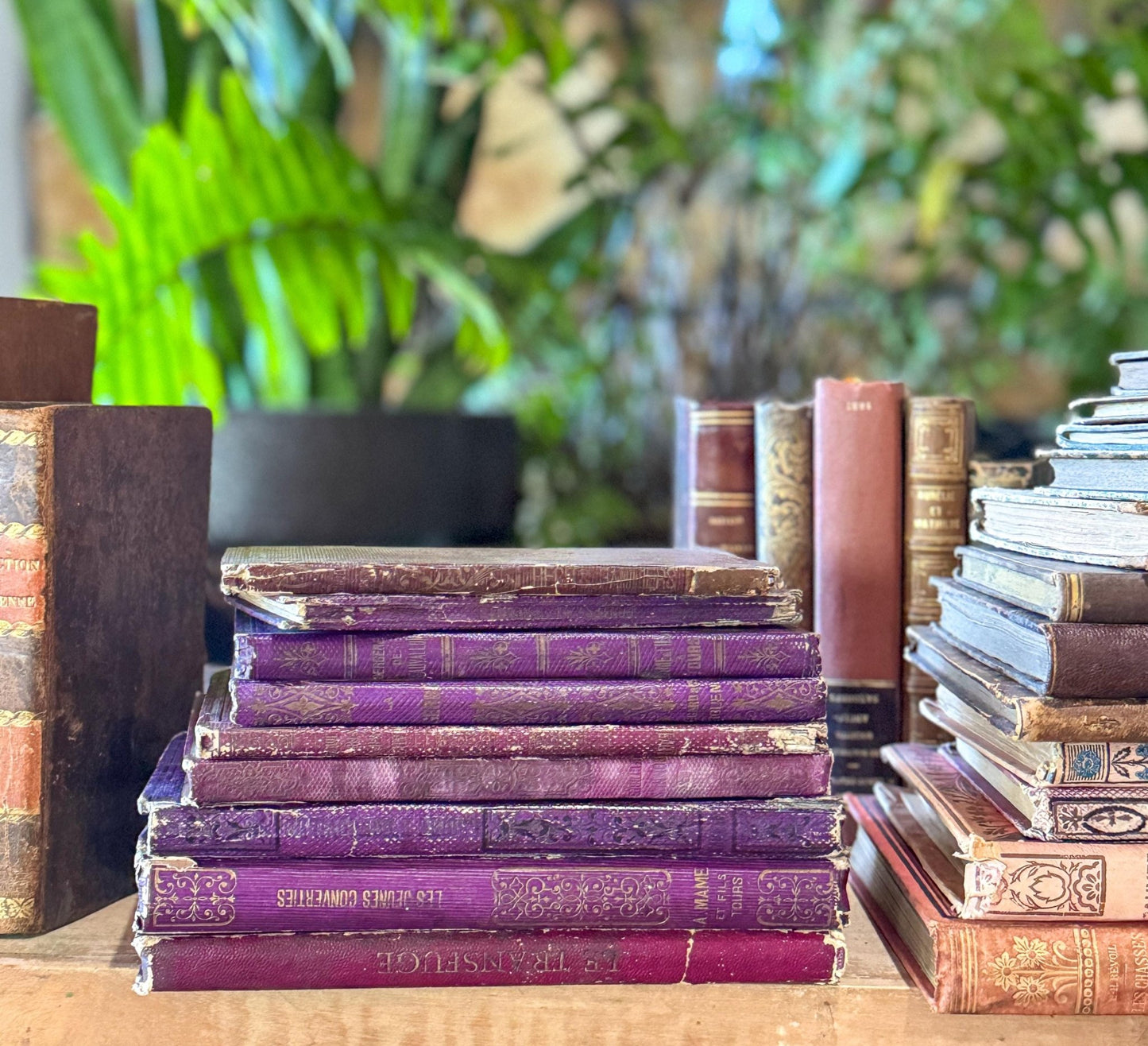 Antique Purple French Book Bundle With Gilt Embossed Covers and School Prize Labels - Pretty Old Books
