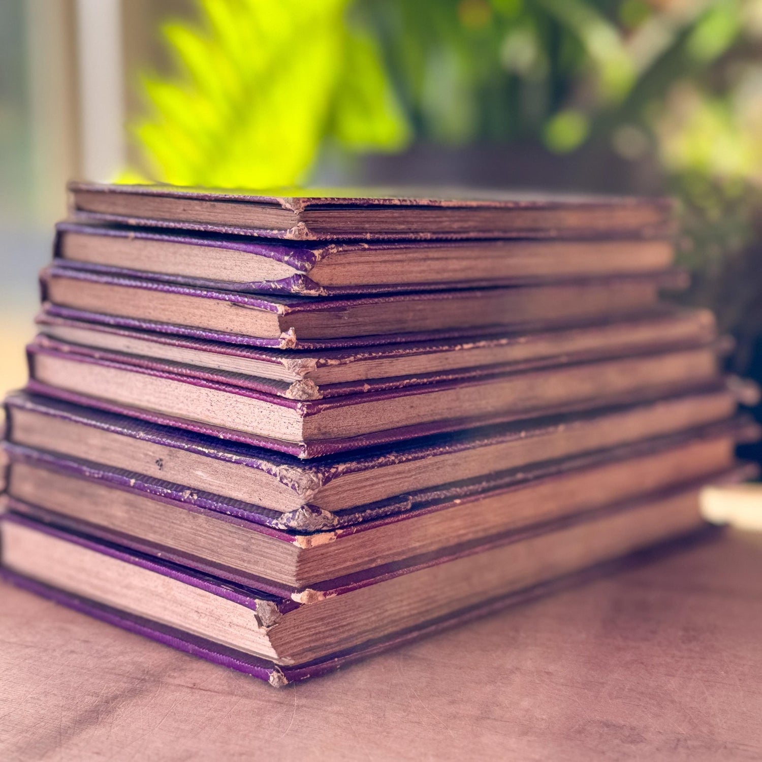 Antique Purple French Book Bundle With Gilt Embossed Covers and School Prize Labels - Pretty Old Books