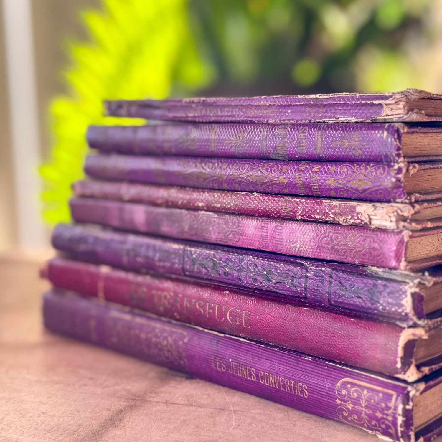 Antique Purple French Book Bundle With Gilt Embossed Covers and School Prize Labels - Pretty Old Books
