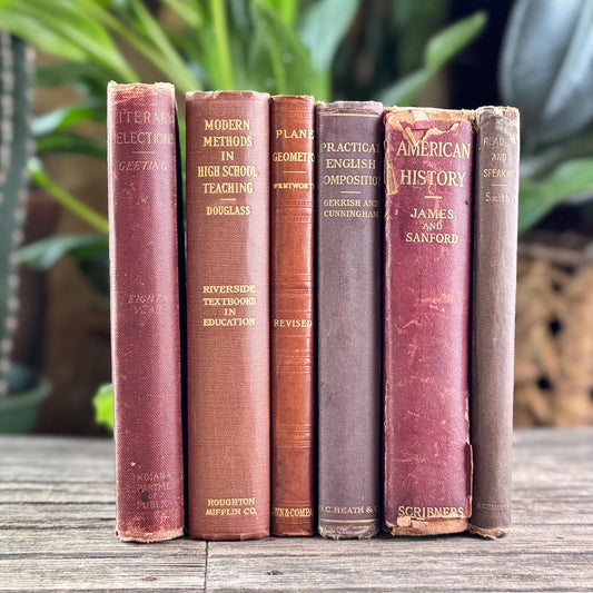Antique Red, Copper, and Brown School Book Bundle for Shelf Styling - Pretty Old Books