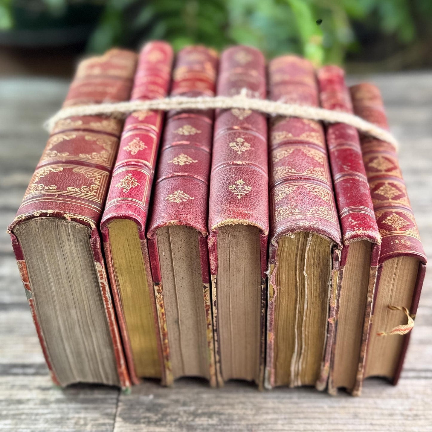 Antique Red French Leather Book Set - Pretty Old Books
