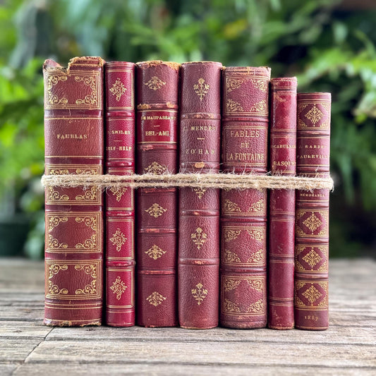 Antique Red French Leather Book Set - Pretty Old Books
