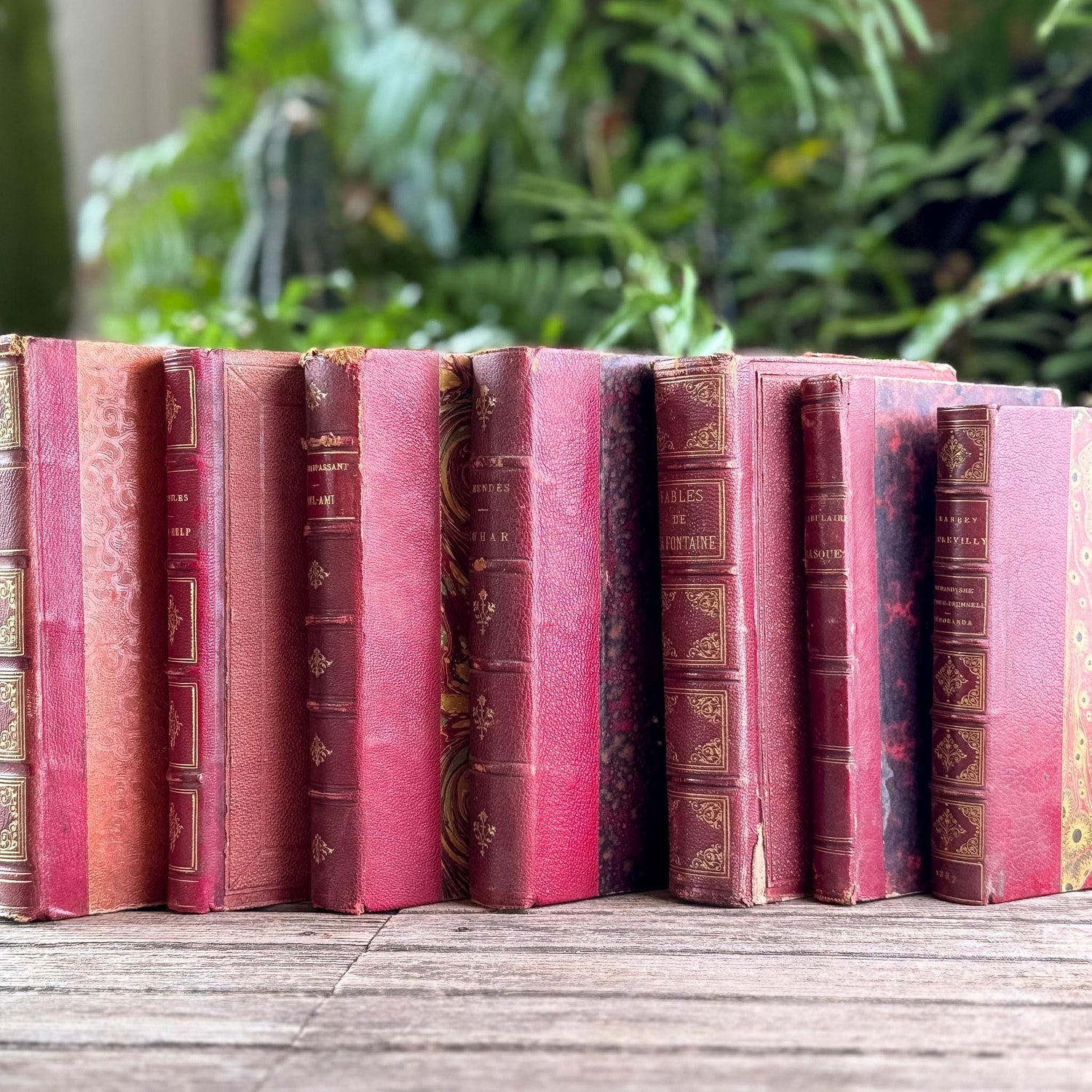 Antique Red French Leather Book Set - Pretty Old Books