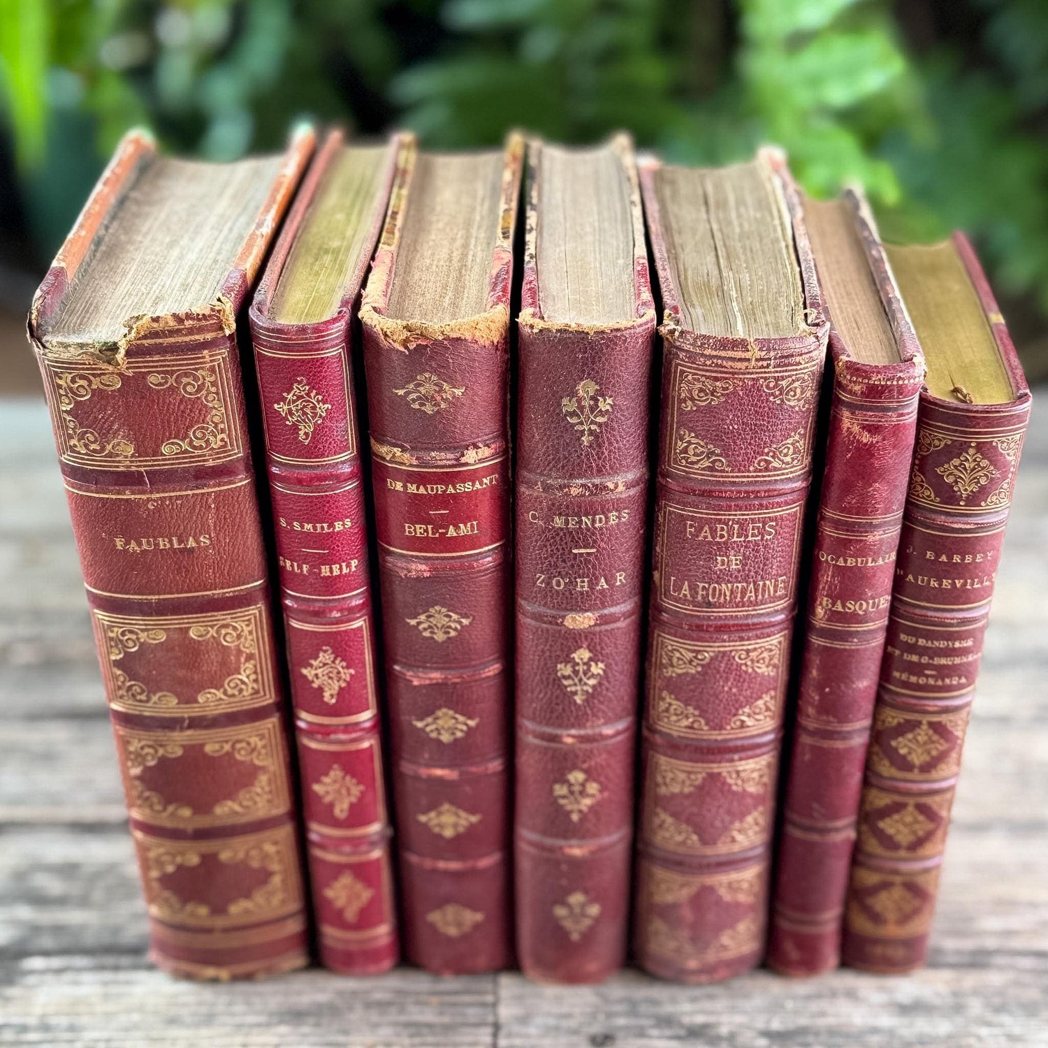 Antique Red French Leather Book Set - Pretty Old Books