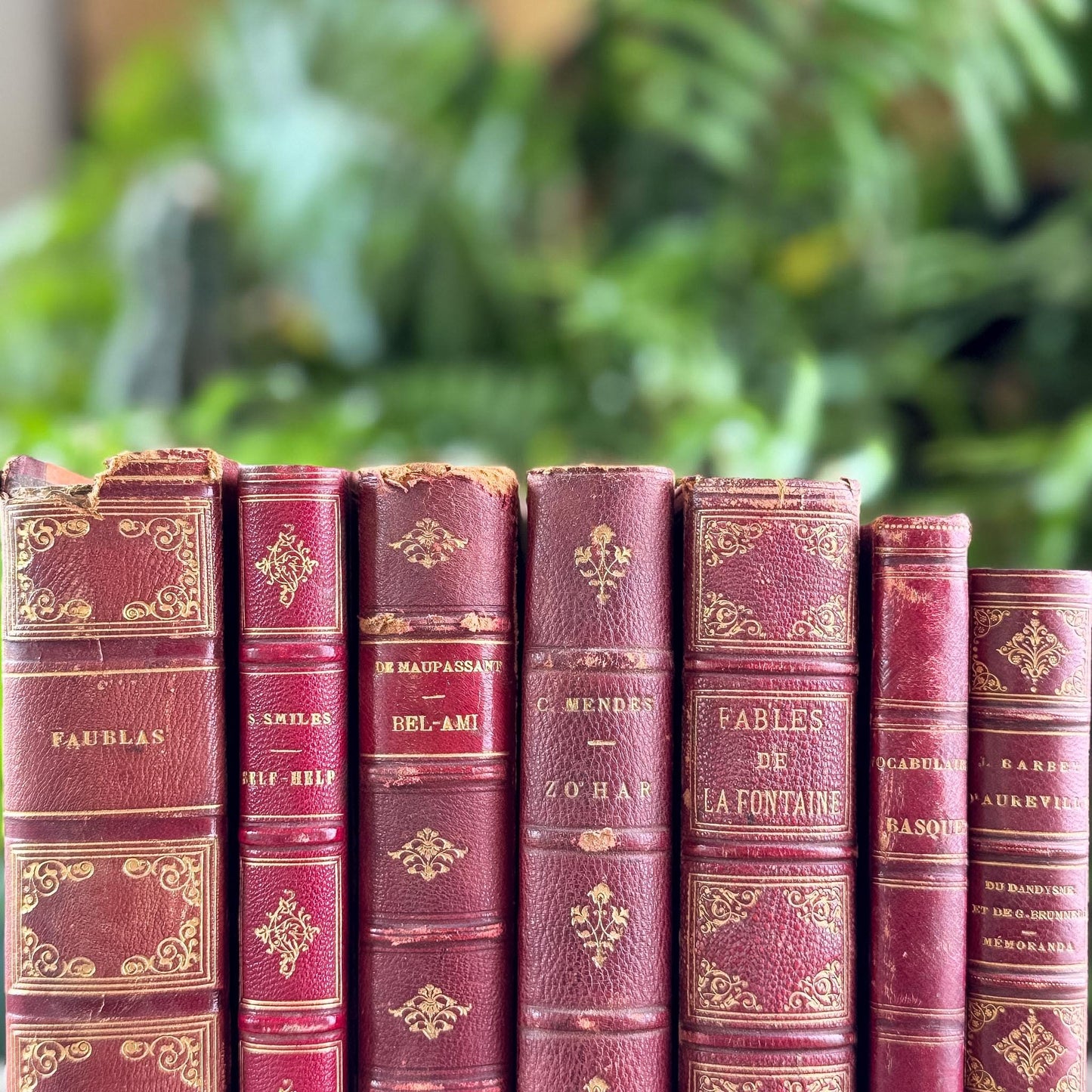 Antique Red French Leather Book Set - Pretty Old Books