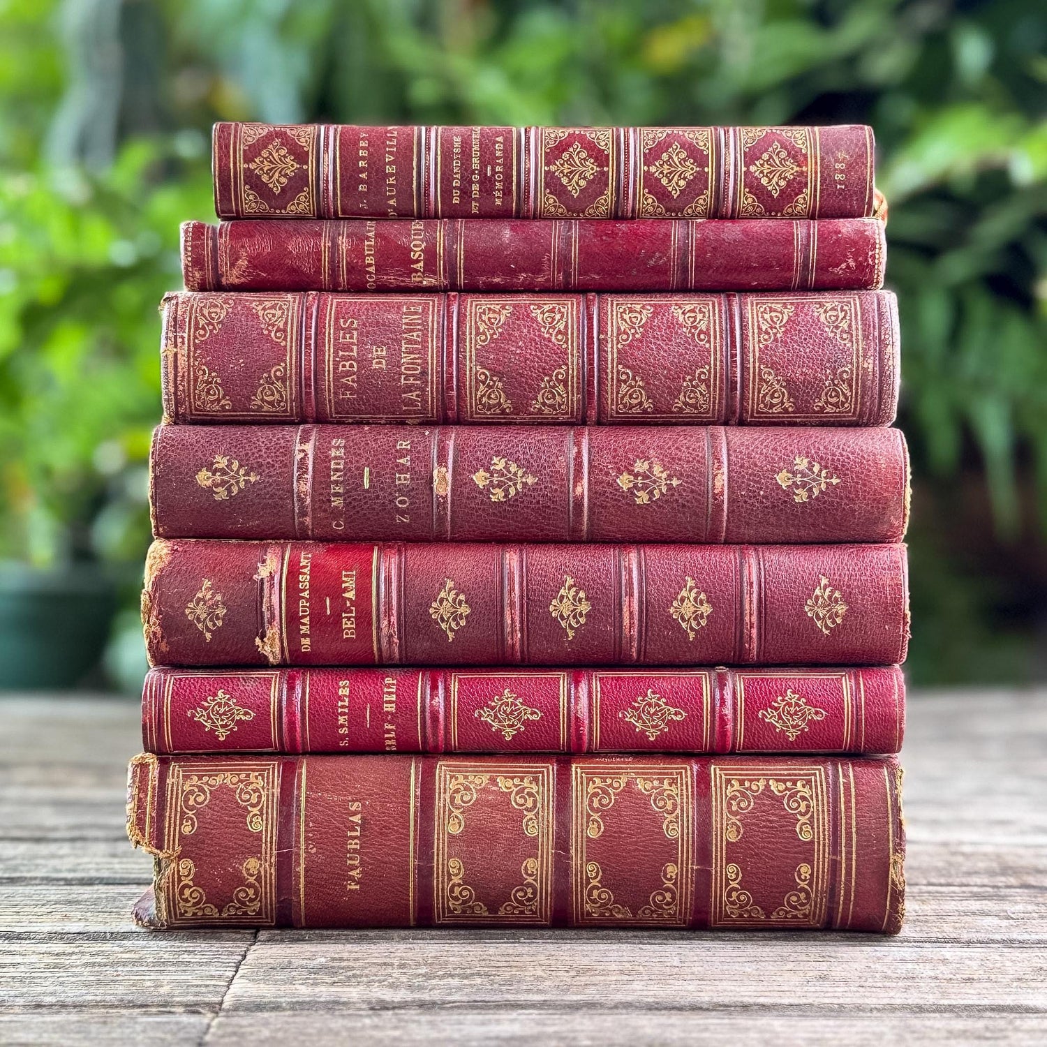 Antique Red French Leather Book Set - Pretty Old Books