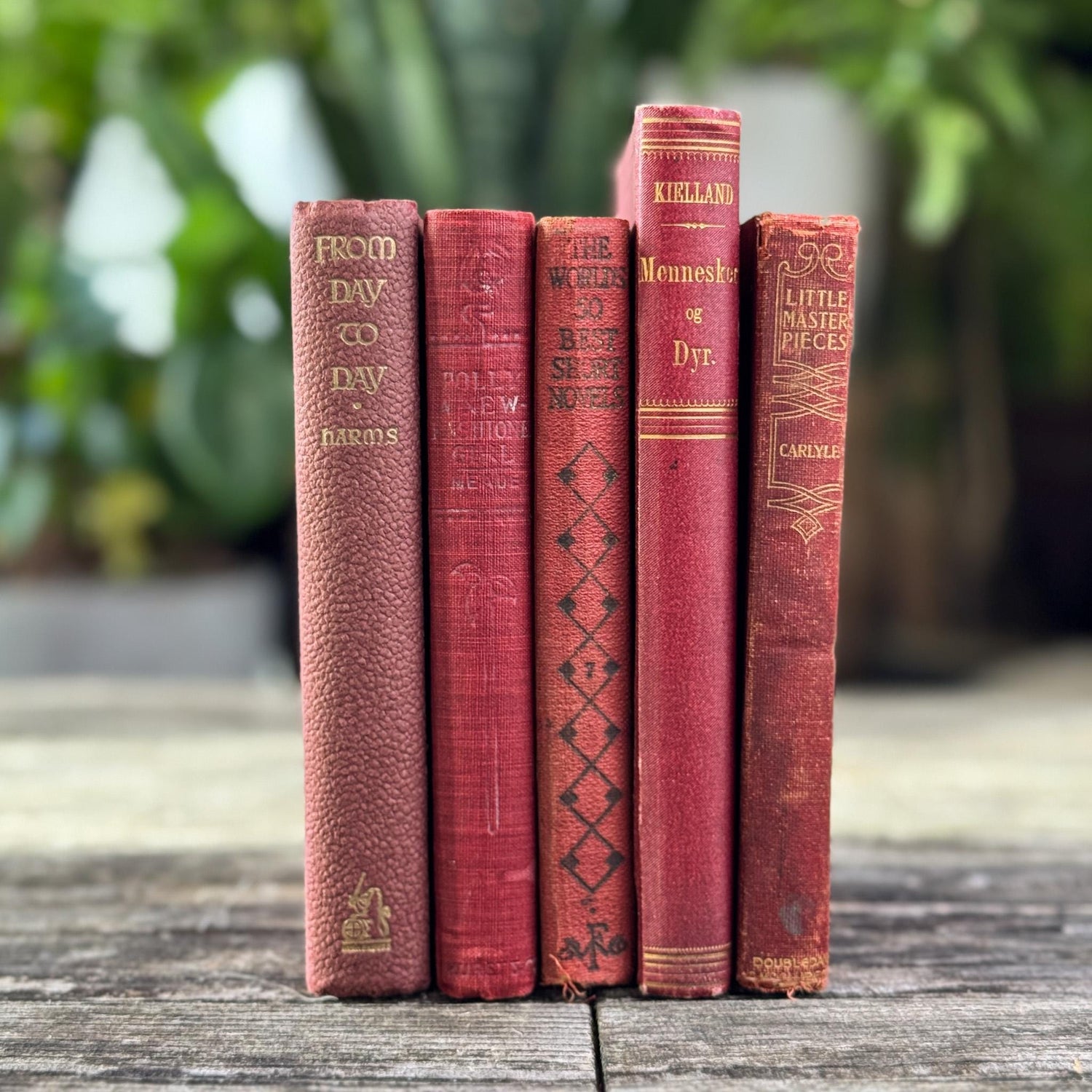Antique Red Mini Book Bundle - Pretty Old Books
