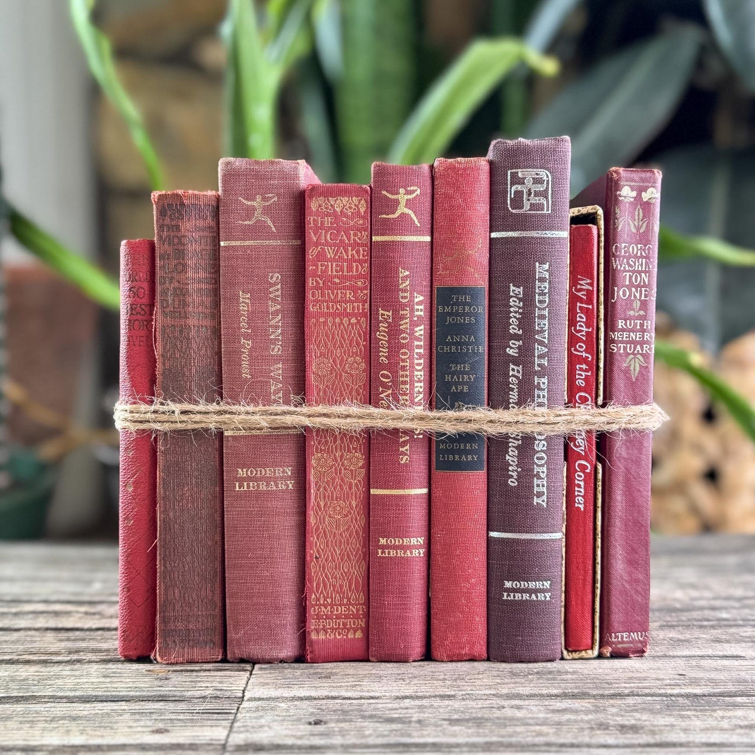 Antique Red Mini Book Bundle, English Literature and Poetry, Shabby Distressed Small Books - Pretty Old Books
