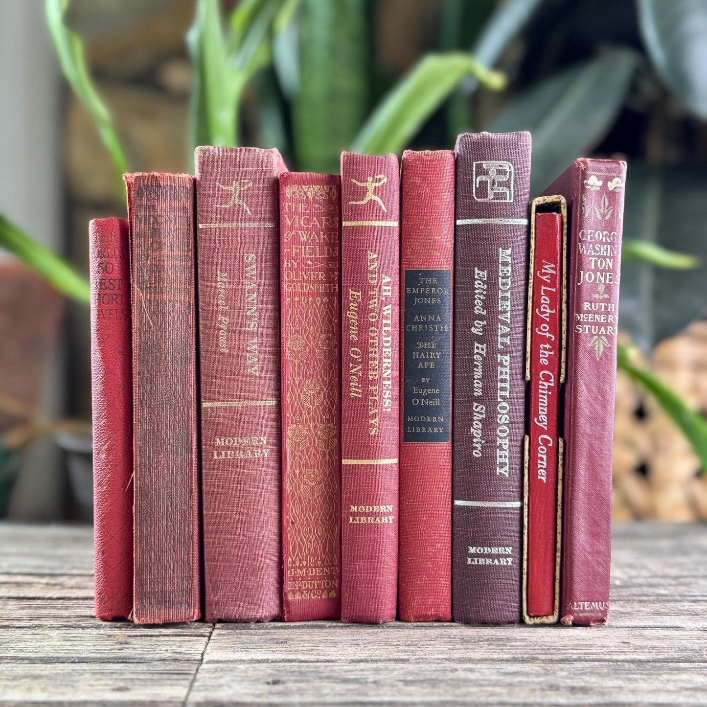 Antique Red Mini Book Bundle, English Literature and Poetry, Shabby Distressed Small Books - Pretty Old Books