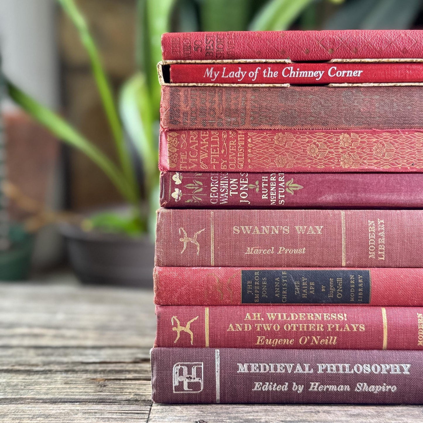 Antique Red Mini Book Bundle, English Literature and Poetry, Shabby Distressed Small Books - Pretty Old Books