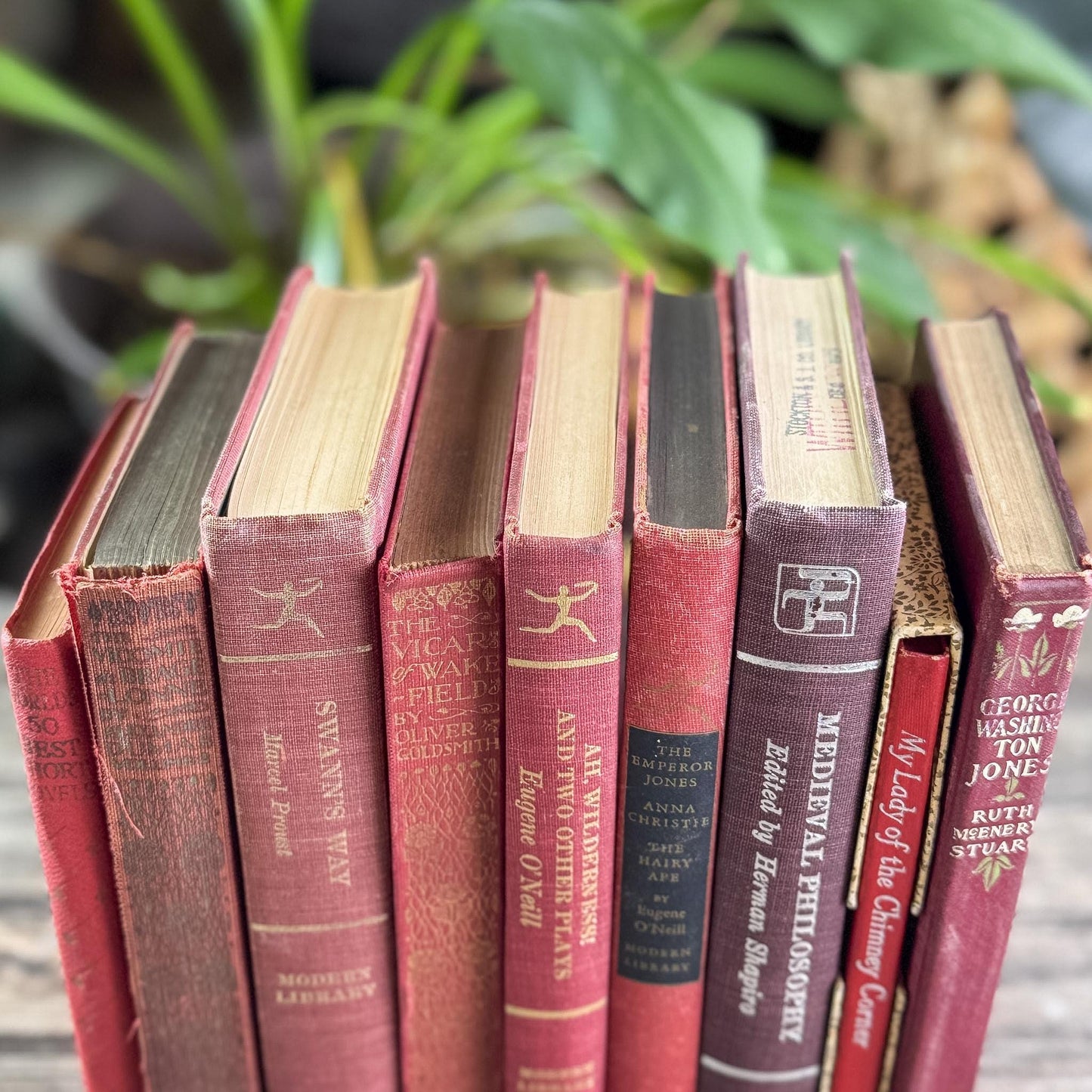 Antique Red Mini Book Bundle, English Literature and Poetry, Shabby Distressed Small Books - Pretty Old Books