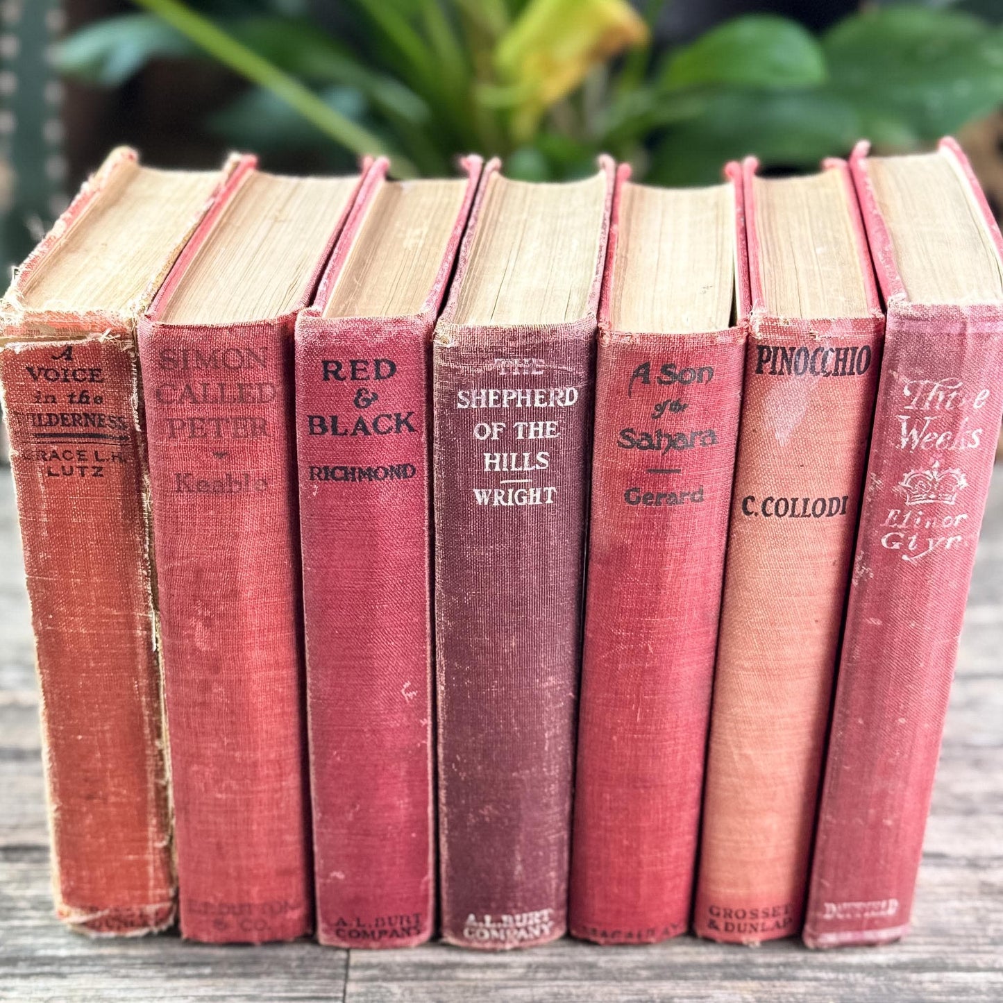 Antique Red Novels and Domestic Fiction for Shelf Styling - Pretty Old Books