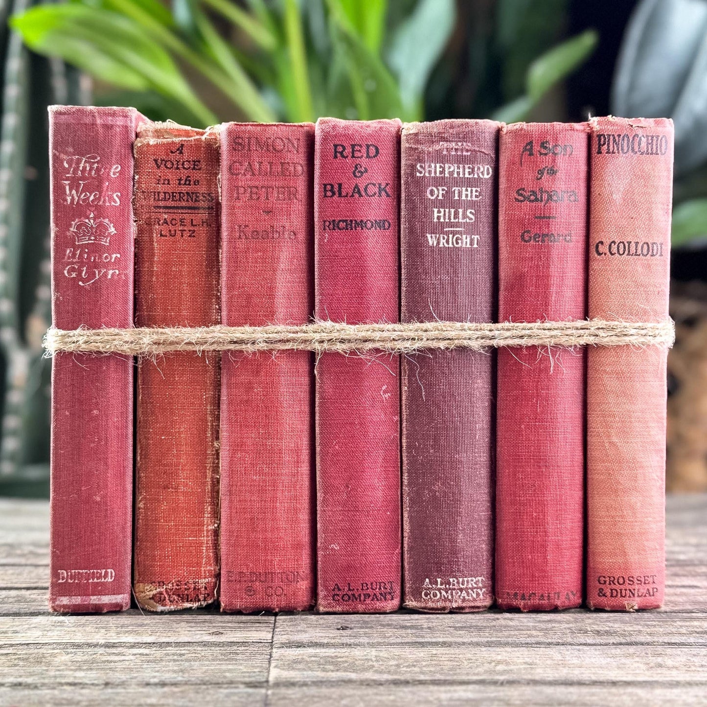 Antique Red Novels and Domestic Fiction for Shelf Styling - Pretty Old Books