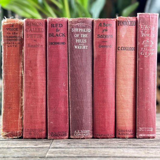 Antique Red Novels and Domestic Fiction for Shelf Styling - Pretty Old Books