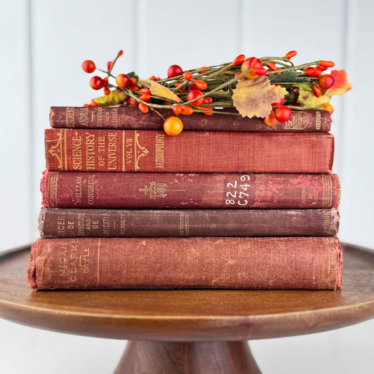 Antique Red Small Book Bundle for Literary Decor - Pretty Old Books