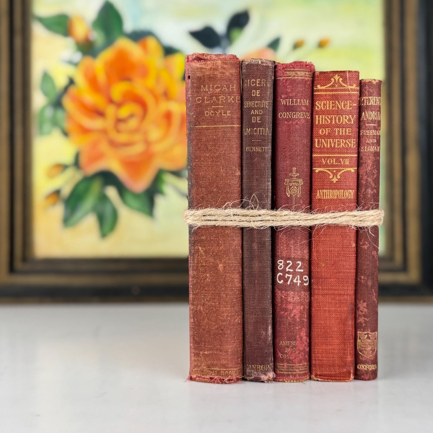 Antique Red Small Book Bundle for Literary Decor - Pretty Old Books