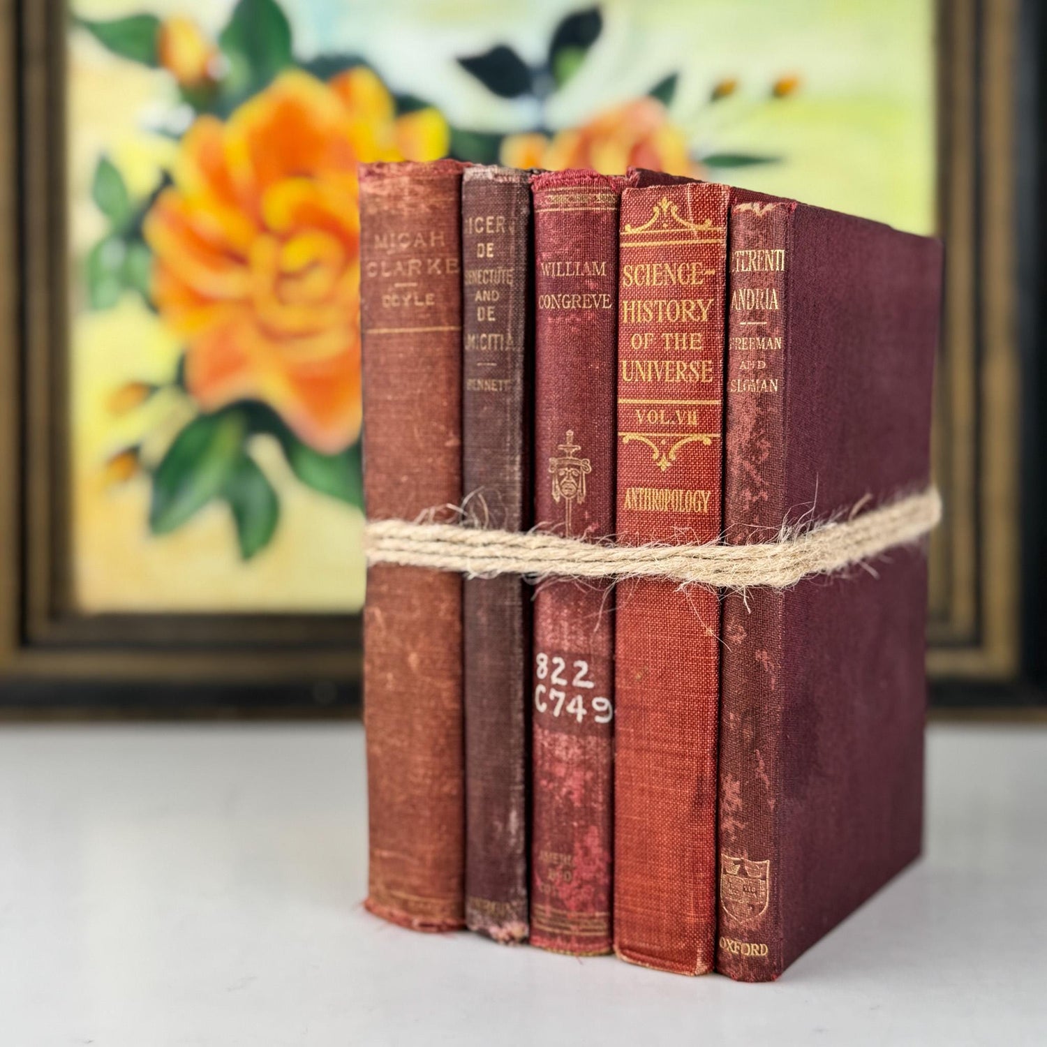Antique Red Small Book Bundle for Literary Decor - Pretty Old Books
