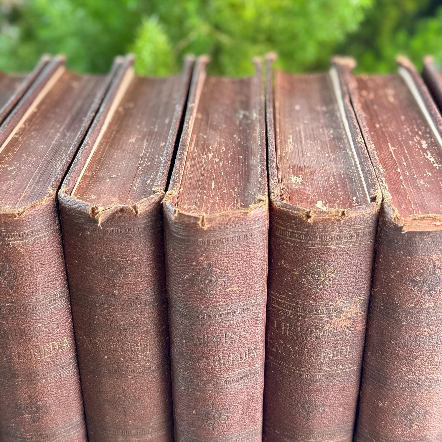 Antique Rust Red Chambers's Encyclopedia: A Dictionary of Universal Knowledge For the People, 1889, Complete 8 Volume Set - Pretty Old Books