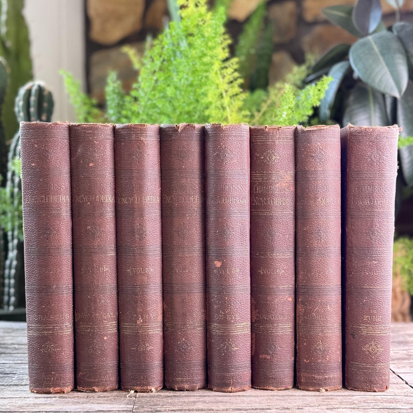 Antique Rust Red Chambers's Encyclopedia: A Dictionary of Universal Knowledge For the People, 1889, Complete 8 Volume Set - Pretty Old Books