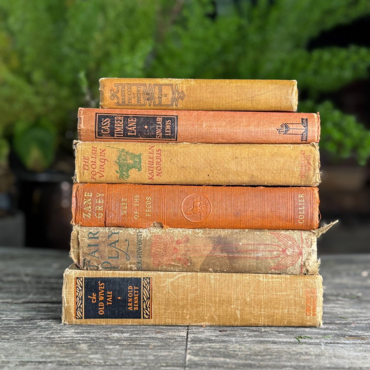 Antique Shabby Earth - Toned Orange Red, Rust, and Beige Boo Bundle - Pretty Old Books