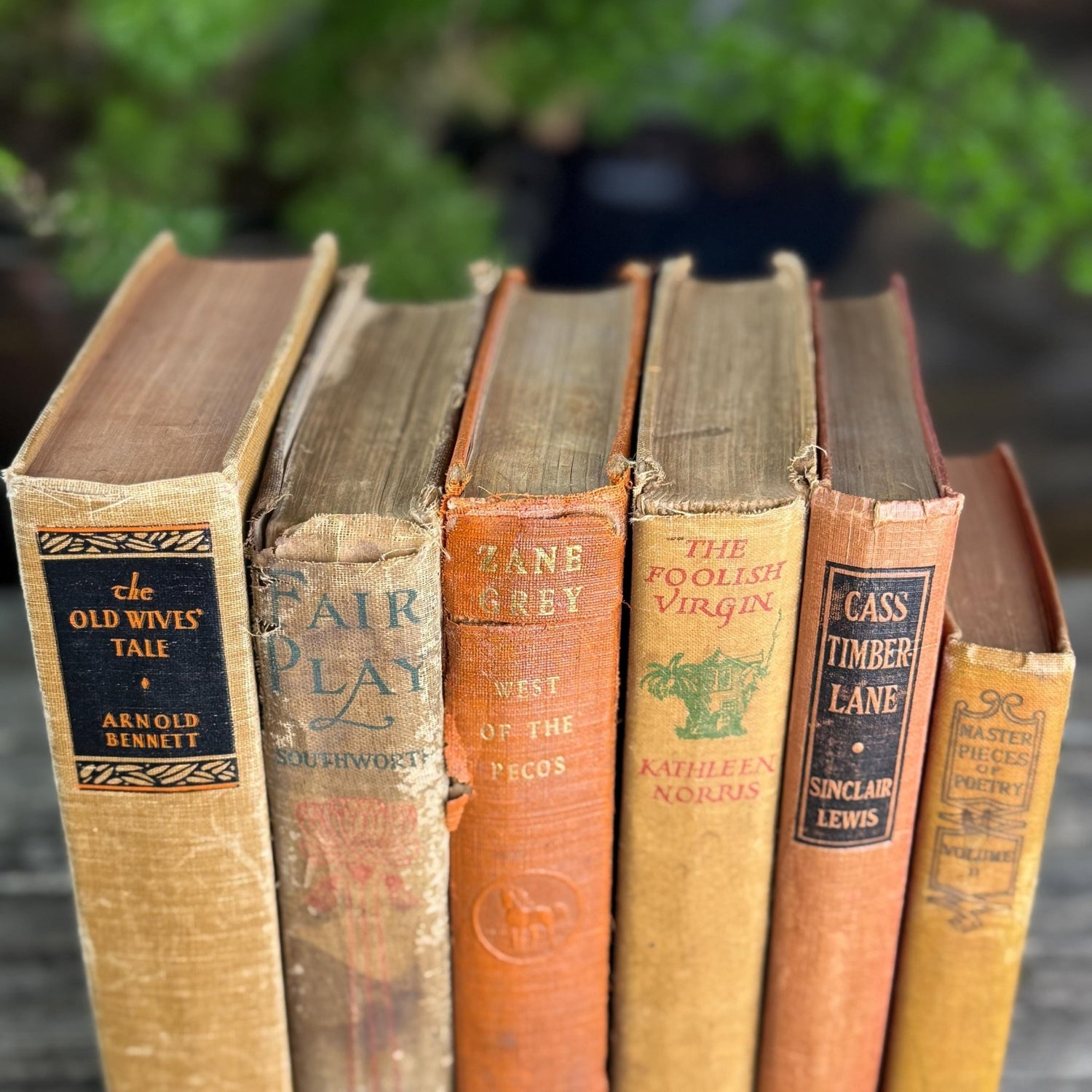 Antique Shabby Earth - Toned Orange Red, Rust, and Beige Boo Bundle - Pretty Old Books
