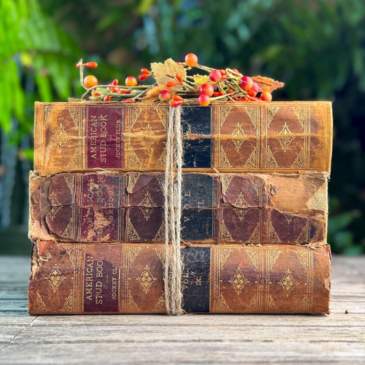 Antique Shabby Leather American Stud Book Set, 1898-1906 - Pretty Old Books