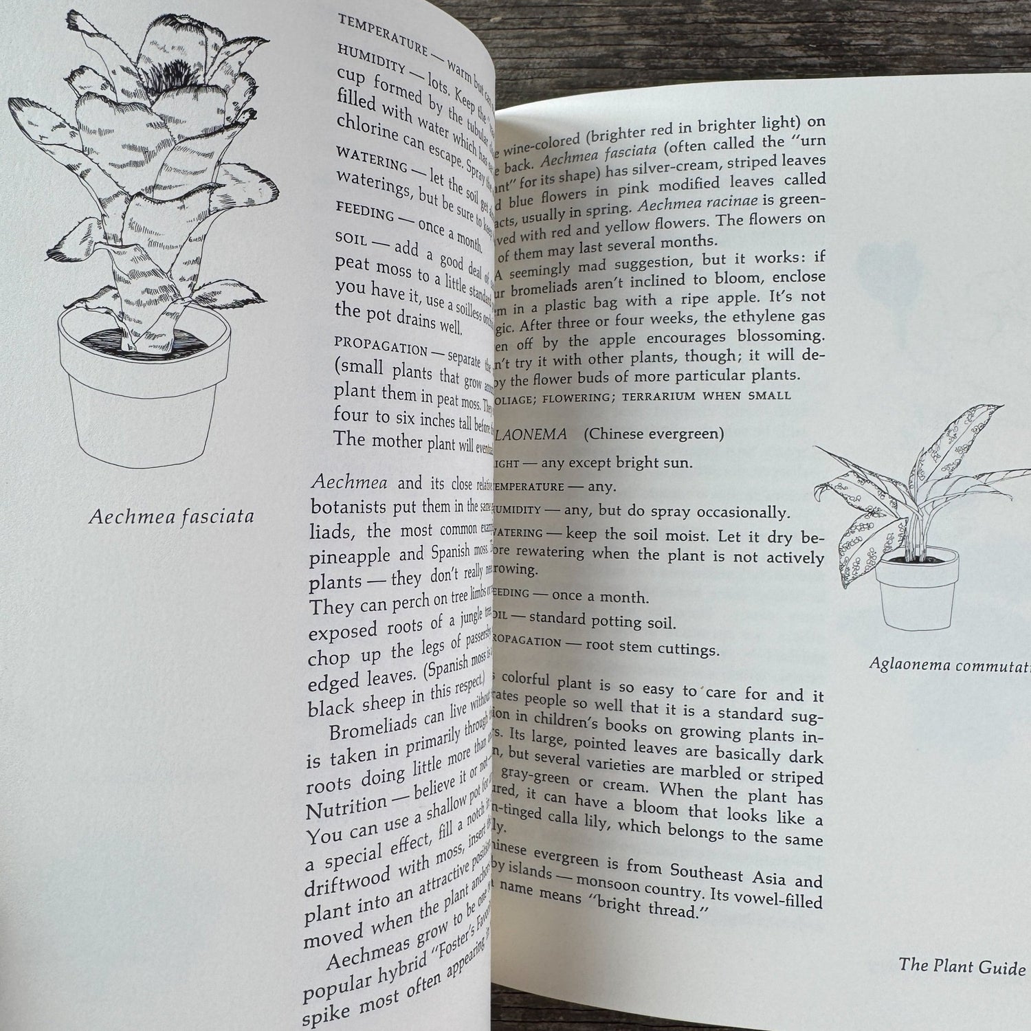 Apartment Greenery, Jean F. Blashfield, 1975 - Pretty Old Books