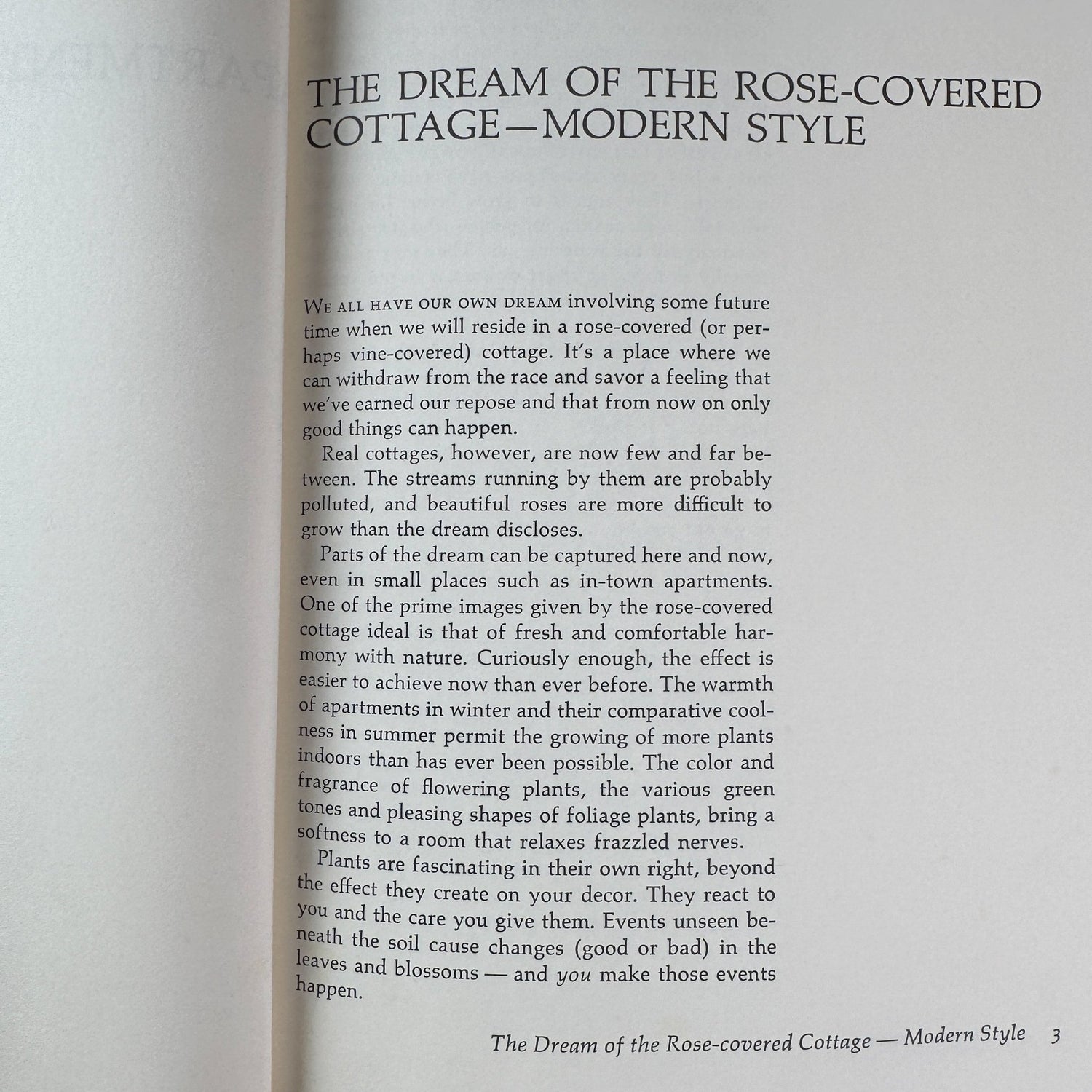 Apartment Greenery, Jean F. Blashfield, 1975 - Pretty Old Books