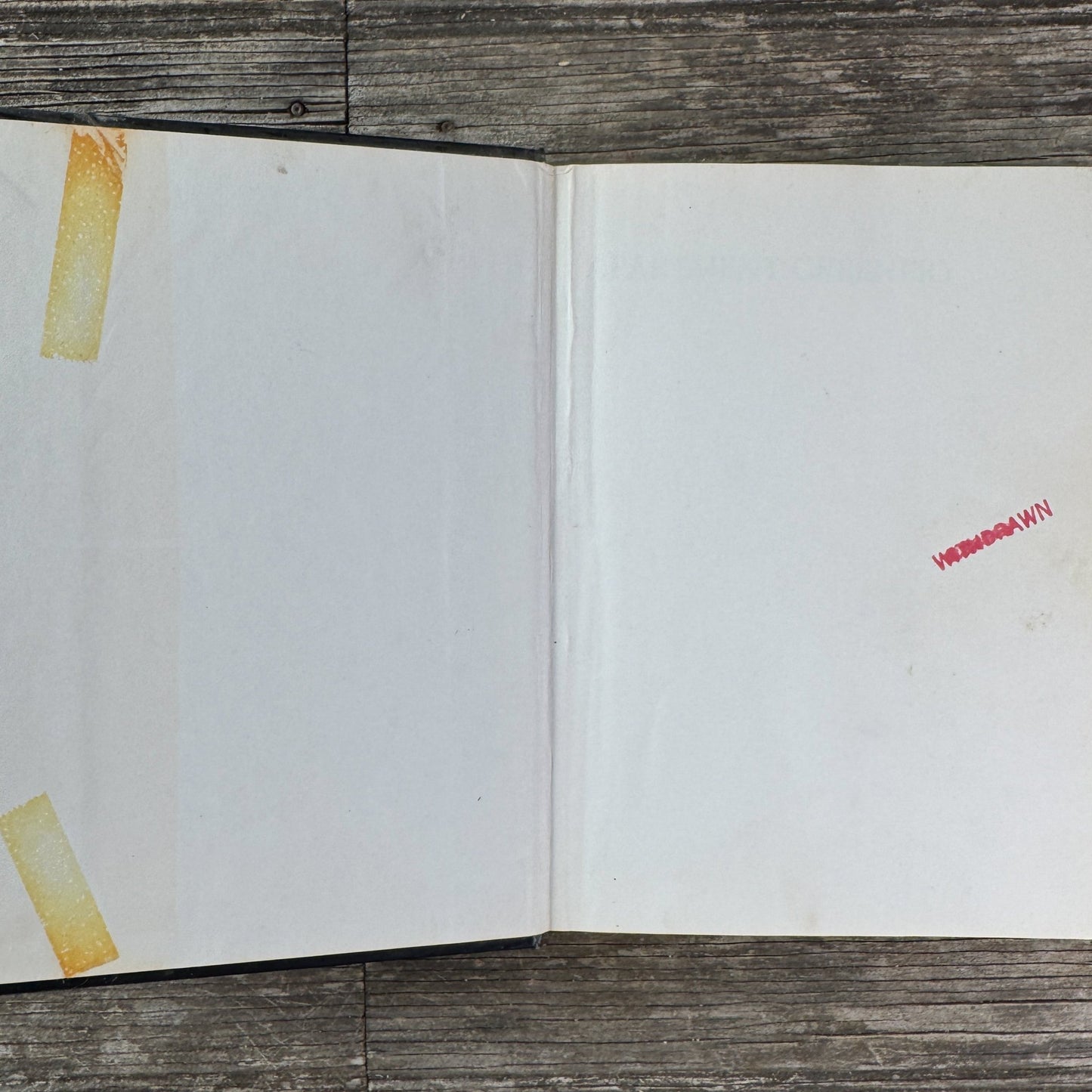Apartment Greenery, Jean F. Blashfield, 1975 - Pretty Old Books