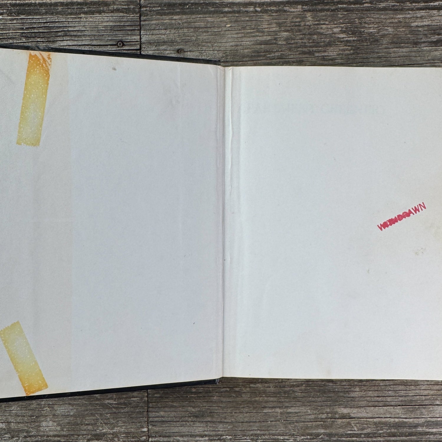 Apartment Greenery, Jean F. Blashfield, 1975 - Pretty Old Books